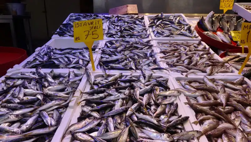 Balık Sezonu Sona Eriyor: Tutku ve Geleneğin Buluştuğu Bir Dönem