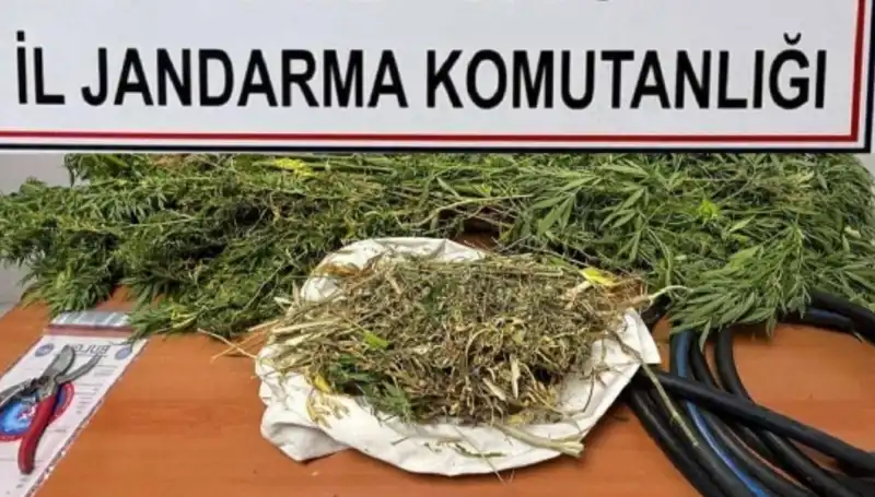 Niğde’de Uyuşturucu Operasyonu: 50 Kilodan Fazla Madde Ele Geçirildi