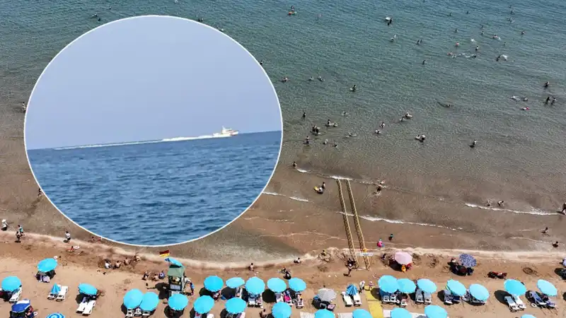 Plajda Köpek Balığı Korkusu: Gerçekten Ne Oldu?