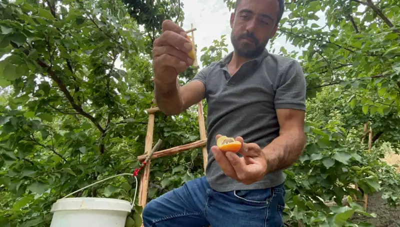 Tadı Damağınızda Kalacak: 50 TL ile 70 TL Arasında Eşsiz Lezzetler