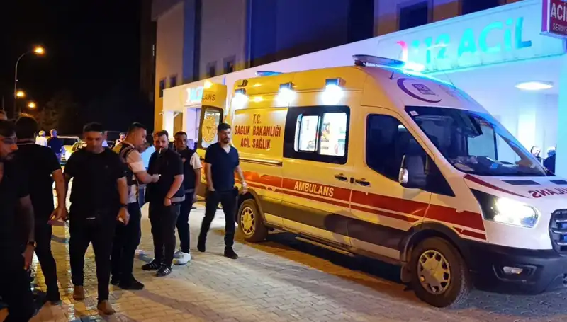 Kardeş Kavgasını Ayırmak İstedi, Trajik Bir Sonla Yüzleşti