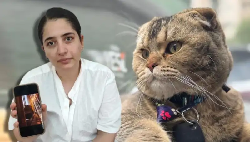 Kedi Sevgisi Evliliği Sarsacak mı? İşte O İddia!
