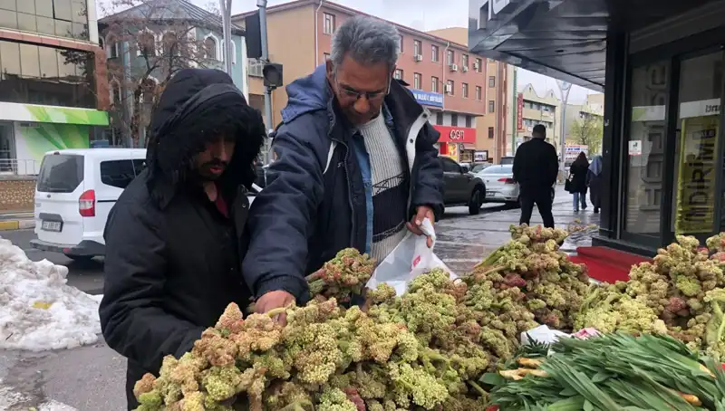 Kendiliğinden Yetişen Besin: Kanser Tedavisinde Umut Vaad Eden Bir Vitamin Deposuna Dikkat!