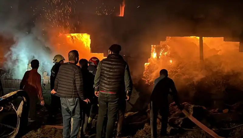 Bolu'da Korkutan Ahır Yangını: Hayvanlar Kurtarıldı mı?