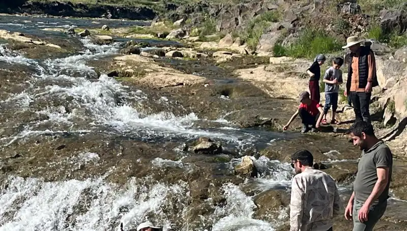 İnci Kefali Göçü: Doğanın Bu Eşsiz Gösterisine Tanık Olun!