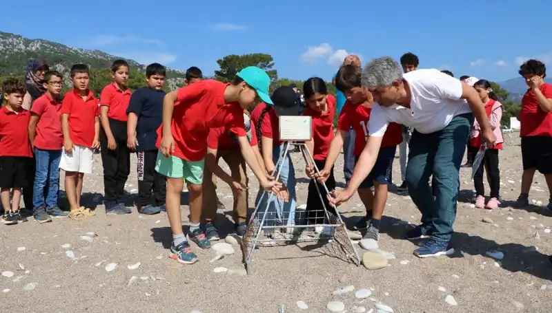 Kemer'de Caretta Caretta Koruma Yasakları Başladı: Turizm Etkileniyor mu?