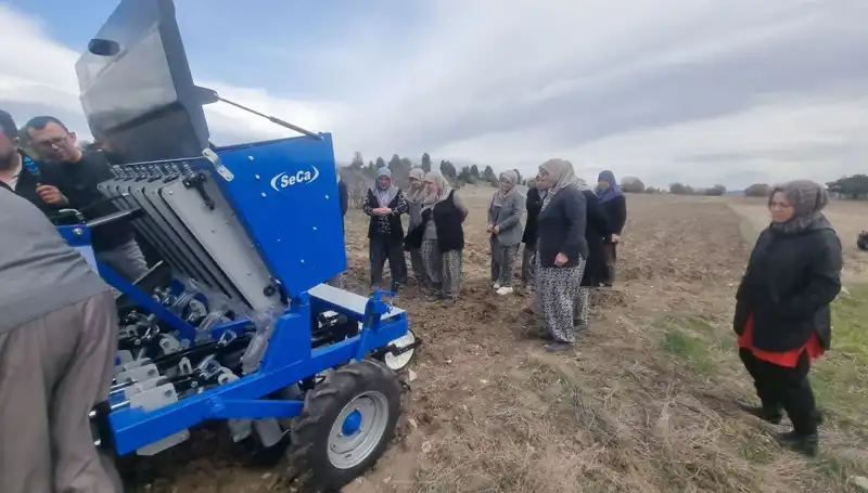 Domaniç’te Ata Tohumu Sarımsağına Yeni Bir Soluk: Proje Hayata Geçiyor!