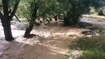 Mersin'de Sağanak Yağış Felaketi: Sokaklar Göz Göre Göre Suyun İçinde Kaldı