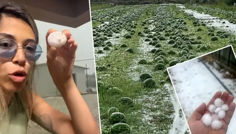 Antalya’da Şok: Dolu ve Hortum Felaketi Yerle Bir Etti!