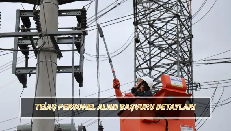 TEİAŞ Personel Alımı 2023: Başvuru Şartları ve Branş Dağılımı Nedir?