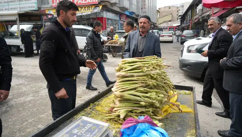 Dağlık Arazi Şekerinin Sağlık Faydaları: Kanser ve Mide Hastalıklarına Karşı Etkileri