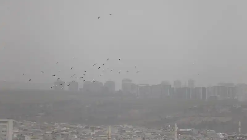 Şanlıurfa'da Görüş Mesafesi Sıfırlanıyor: Toz Bulutu Alarm Veriyor!