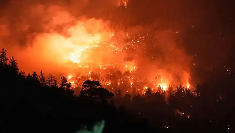 Bursa-Balıkesir Sınırındaki Orman Yangınında Son Durum: İyi Haberler Var!