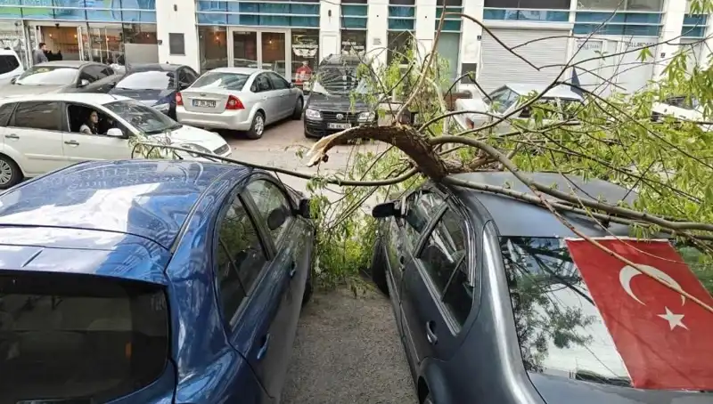 Kayseri'yi Sallayan Fırtına: Dalları Kırıp Geçti!