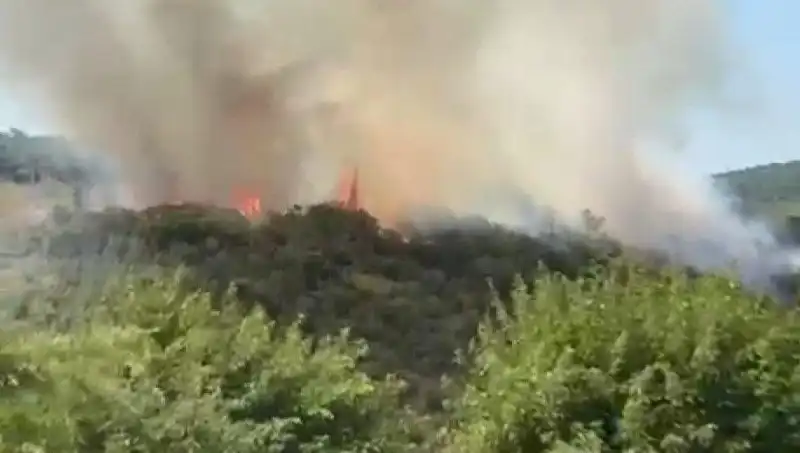 İstanbul Orman Yangını: Acil Tahliye Süreci ve Son Gelişmeler