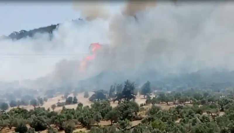 İzmir'de Korkutan Orman Yangını: Hızla Yayılıyor, Ekipler Mücadelede!