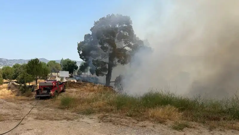 Muğla'da Orman Yangını: Doğa ve Ekosistem Tehdit Altında