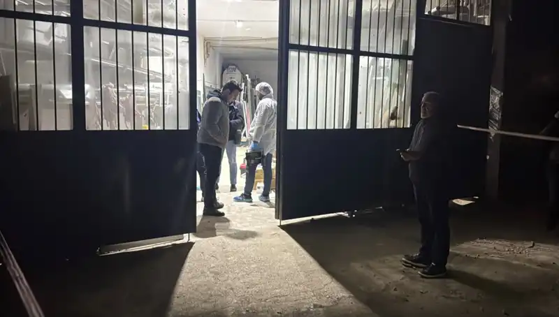 İş Yerinde Korkunç Cinayet: Detaylar Korkunç Gerçeği Ortaya Çıkardı