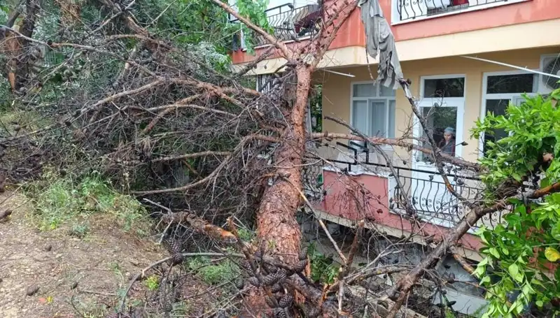 Yağmurtanesi: Güçlü Fırtına Binayı Yıktı, Gözler Şokta!