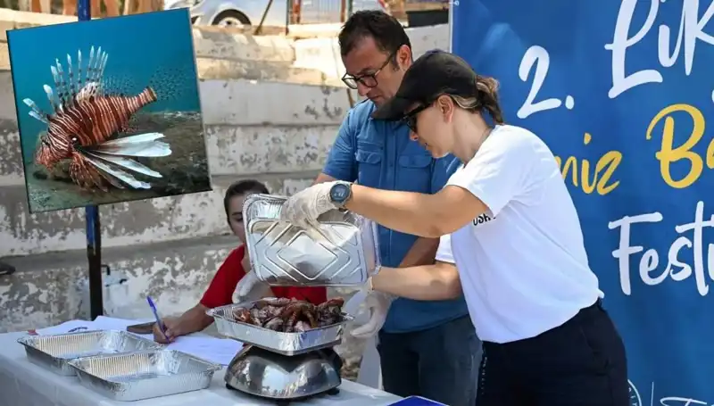 Antalya’da İstilacı Aslan Balığı Avlama Yarışması: Denizdeki Tehlikeye Karşı Bir Mücadele