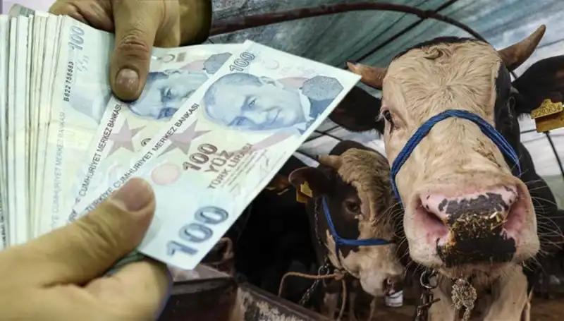 Memur ve Emekli Maaşları Bayram Öncesi Ödenecek mi? Yanıt Açıklandı!