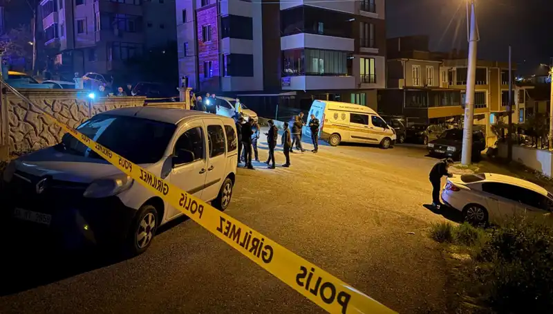 Sakarya'da Kanlı Gecenin Ardındaki Sebepler ve Sonuçlar