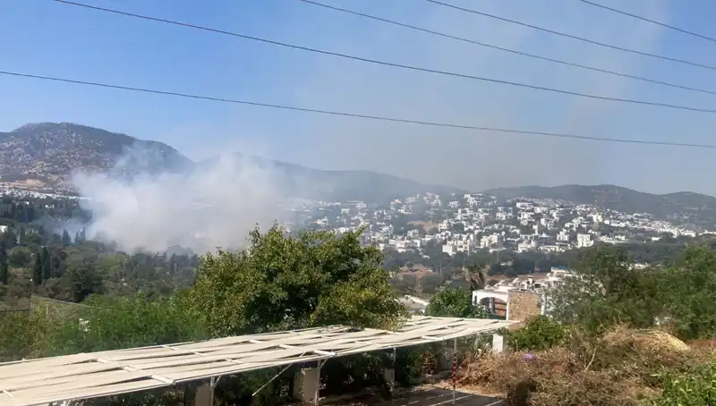 Muğla'daki Orman Yangınları Kontrol Altına Alındı, Son Durum Ne?