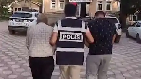 Türkiye'de Köpek Dövüşü Skandalı: Yasaklı Faaliyetler İçin Gözaltılar Başlıyor