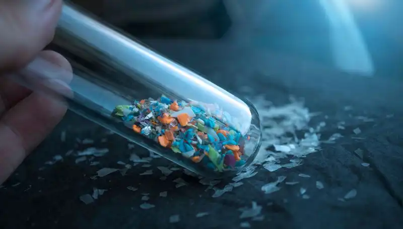 Mikroplastikler İnsan Beynine Ulaştı! Sağlığımıza Etkileri ve Sonuçları