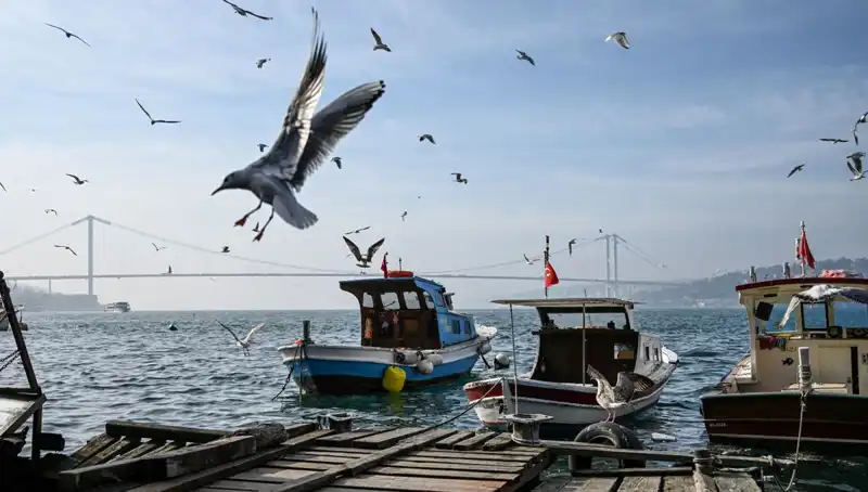 İstanbul'da Bahar Havası İçin Geri Sayım Başladı: Tarih Belli Oldu!