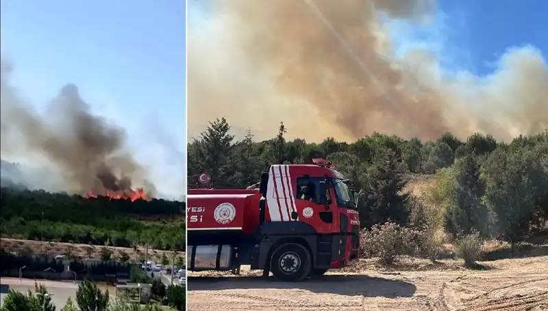 Gebze'de Büyük Orman Yangını: Yangının Sebepleri ve Sonuçları