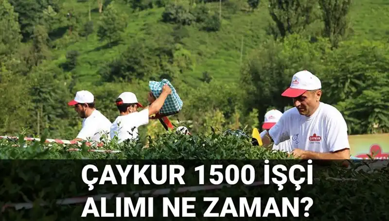 ÇAYKUR İşçi Alımı Kura Çekimi Ne Zaman? Detaylı Bilgiler Burada!