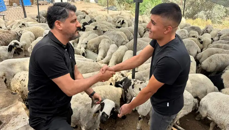 Kurbanlık Alırken Dikkat Edilmesi Gereken Püf Noktaları: Tuz ve Sumak Etkisi