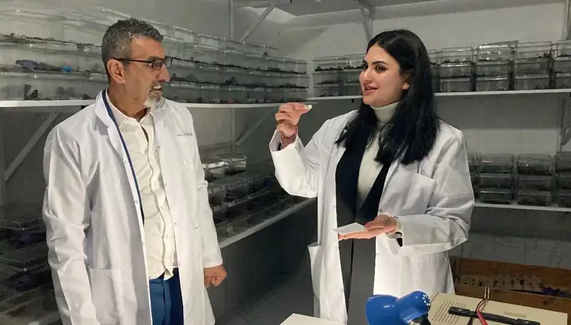 Akrep Zehri ve Şekerin Eşsiz Buluşması: Tatlı ve Tehlikeli Bir Deney