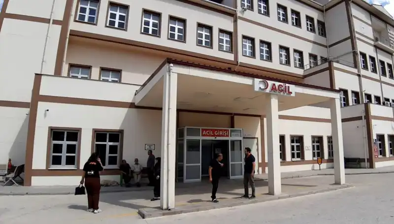 Bolu’da Ayı Avı İçin Yeni Karar: Koruma mı, Kontrol Mü?