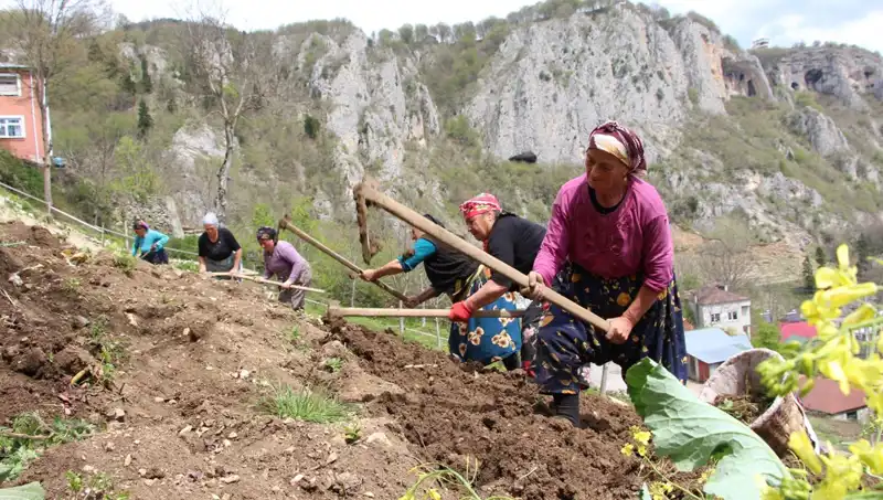Zorlu Mesai Yılın En Çetin Döneminde Başladı: Sepetler ve Kazmalarla Hazırlıklar Sürüyor