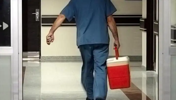 Organ Bağışı İçin Yeni Dönem: Artık e-Devlet ve e-Nabız İle Mümkün!