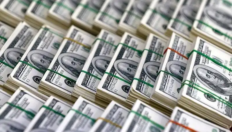 Doların Hızla Yükselişi: Ekonomistler Uyarıyor, Ne Olacak?