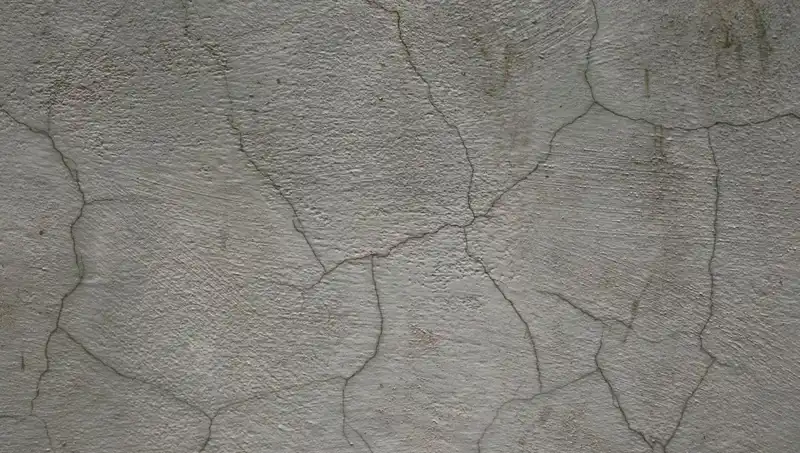 Canlı Beton: Yapıların Kendi Kendini İyileştiren Geleceği