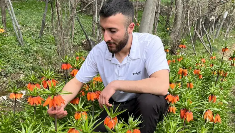 Ağlayan Gelin: 20 Günlük Ömrüyle Doğanın GözBebeği ve Yüksek Cezasıyla Tüm Dikkatleri Üzerinde Topluyor