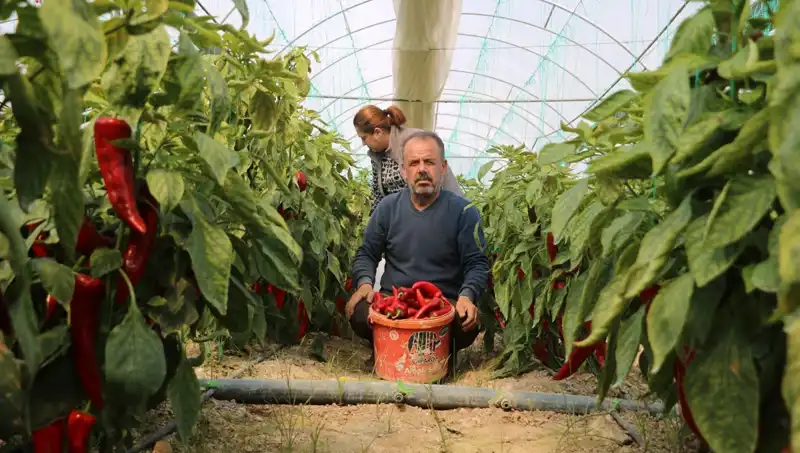 Fiyatında Şok Artış: 50 TL Olan Ürün Şimdi 80 TL!