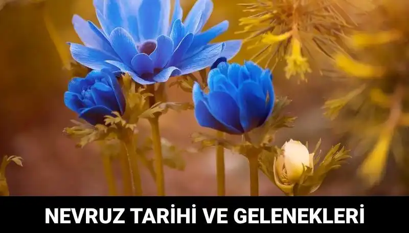 Nevruz Bayramı'nın Tarihi ve Gelenekleri: Kimler Kutlar?