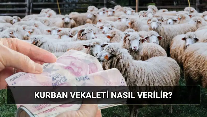 Vekaletle Kurban Kesimi: 2025 Ücretleri ve Süreç Detayları
