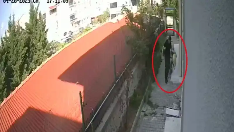 Veteriner Doktorun Şok Edici Suçlamaları: Sahiplendiği Köpekleri Katletti!