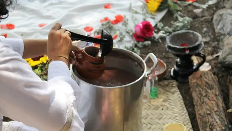 Ayahuasca: Gizemli Şifalı Çay ve Yasakları Üzerine Her Şey