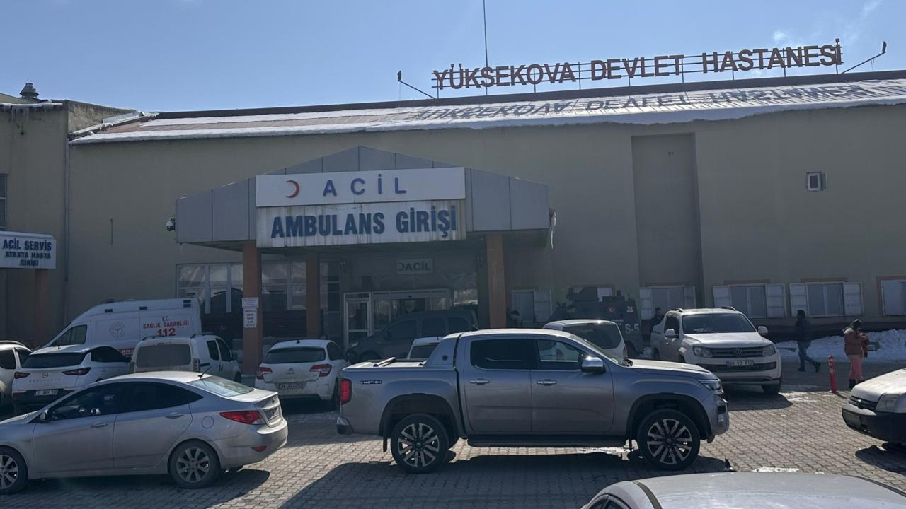 Başıboş köpeklerin saldırısında hayatını kaybeden çocuğun ölümüyle ilgili soruşturma başlatıldı