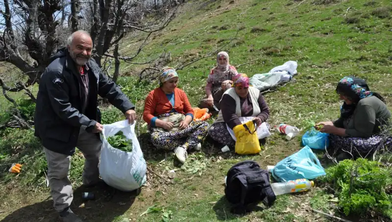 Yüzlerce Ailenin Geçim Kaynağı: 5 Saat Yol Yürüyerek Topladıkları Hazine
