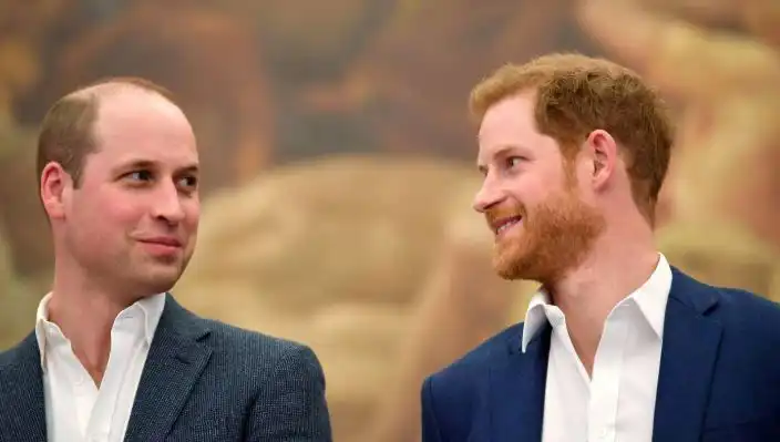 Monarşinin Geleceği: Prens Harry ve Prens William Arasındaki Derin Küslük